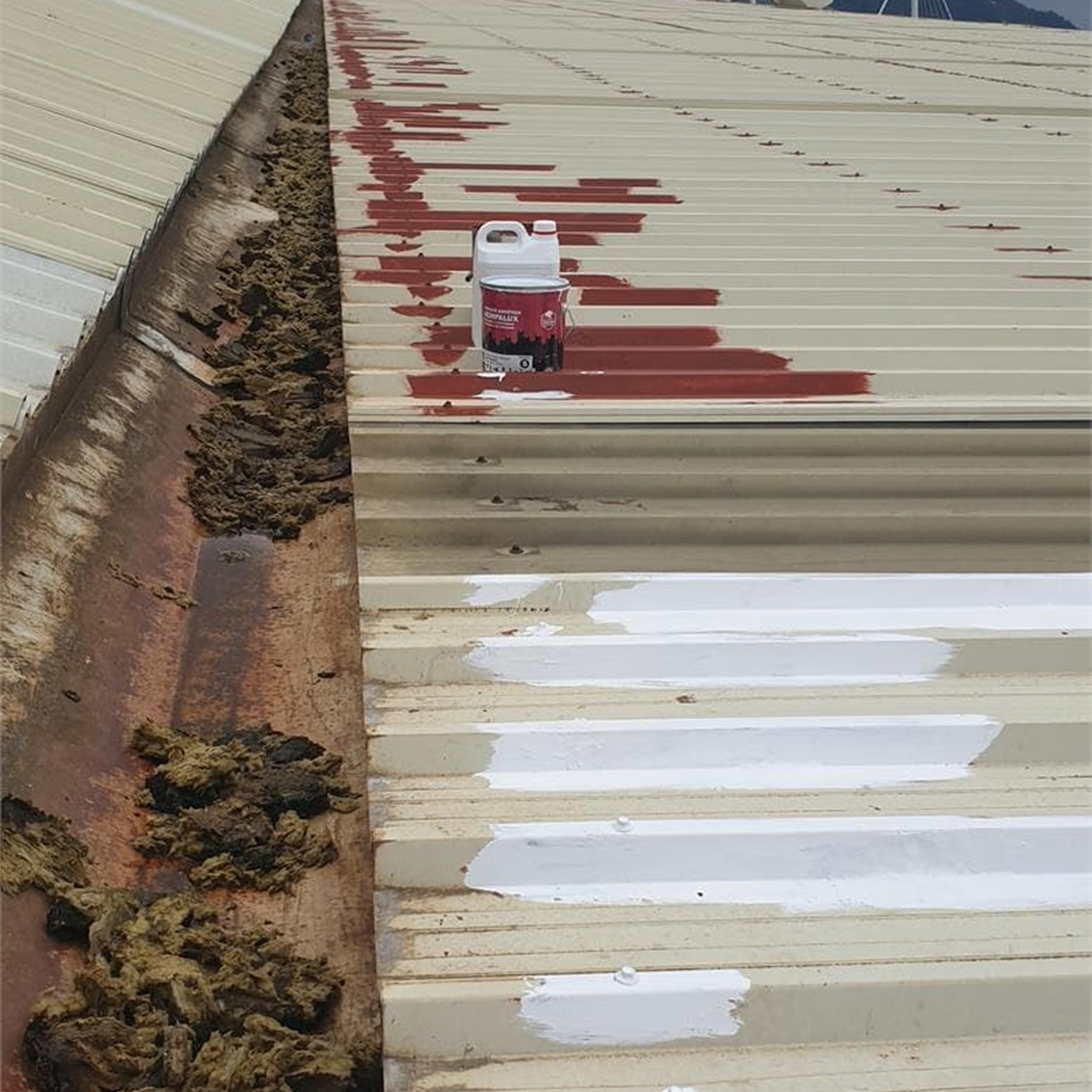 Impermeabilizaciones - Cubiertas/tejados/canalones (Trabajos verticales