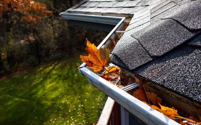 Limpieza de canalones